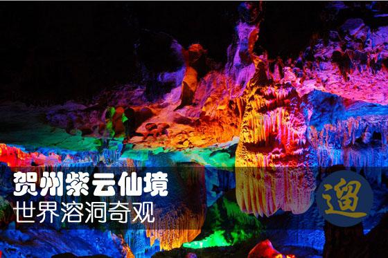 网球运动员营救
